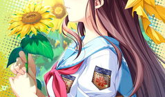 向日葵女孩动漫,追逐阳光的青春旋律